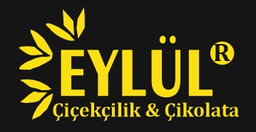 https://www.instagram.com/eylulcicekkorfezz/